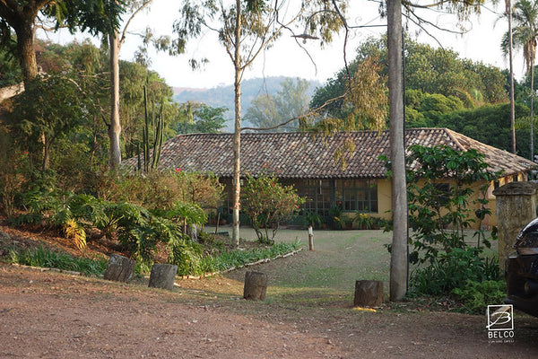 Ferme Fazenda Anhumas dans la région de Sul de Minas, près de la ville de Mococa au Brésil. Agriculture caféière et agroforestière. Café équitable, hors marché boursier, qualitatif, agriculture raisonnée.
