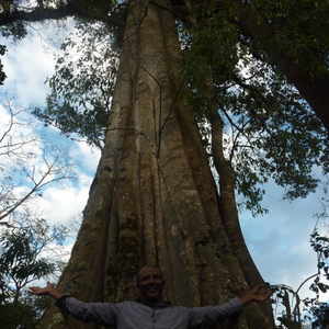 Voici Ali, un café BIO d'Éthiopie de notre gamme éphémère. Café de spécialité aux saveurs fruitées est un café pur arabica équitable, en grain & moulu, éthique et durable aux notes naturelles de pêche, citron, abricot, caramel et noisettes. Fraîchement torréfié par Arlo's Coffee, artisan à Rambouillet.