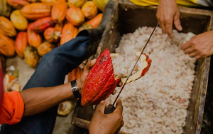 Tablette Potumuju 85%