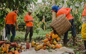 Tablette Potumuju 85%