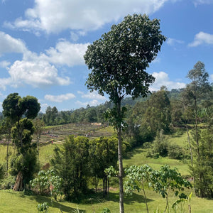 ETHIOPIE - KURUPE
