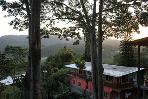 Arlo's Coffee est une torréfaction artisanale de café de spécialité dans les Yvelines, à Rambouillet. Café de spécialité du HONDURAS certifié BIO aux notes naturelles de citrus, de chocolat, de caramel et un profil un peu boisé. Cultivé dans la commune de Marcala, dans le département de La Paz, au sud-ouest du Honduras, issu d’une agriculture biologique, il est le fruit du travail de plusieurs producteurs partenaires de COMSA (Café Organico Marcala). Café à haute valeur environnementale. 