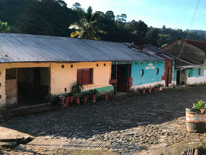 MEXIQUE - MONTE PERLA