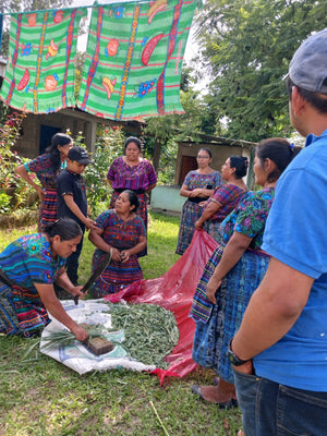 GUATEMALA - TOJTIK BIO