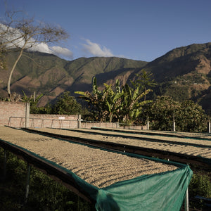 PEROU - CUSCO BIO