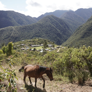 PEROU - CUSCO BIO