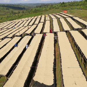 RWANDA - MURAMBI - BIO
