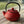 Théière en fonte rouge 0,3l