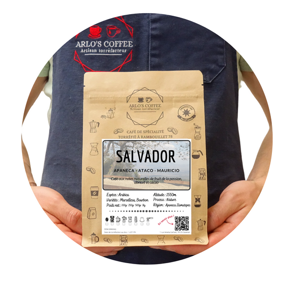 SALVADOR - MAURICIO