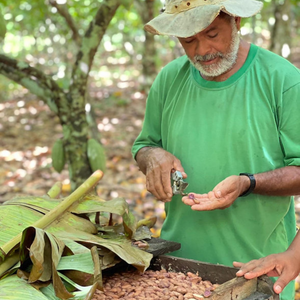 Découvrez la tablette Teruê 60gr avec 70% de cacao, médaille d'argent au concours du meilleur cacao d'Amérique du Sud. Arômes végétaux, terreux et boisés, Teruê ravira les férus de chocolat noir. Cacao issu de l'agroforesterie et une tablette issu du mouvement Bean to Bar.