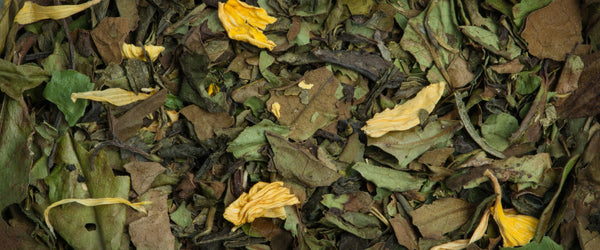 Melle Cookies Bio / L'autre thé / Thé blanc / Ce mélange de thé blanc et thé vert bio vous ravira par ses subtiles notes gourmandes de cookie. Il est agrémenté de fleurs de souci. Ce thé est naturellement léger en théine et est subtil au goût.  Composé du bourgeon terminal et de deux jeunes pousses, ce thé blanc est cueilli à la main uniquement au printemps dans la province de Fudjian en Chine dans une coopérative certifiée Agriculture Biologique. En vente chez Arlo’s Coffee, artisan torréfacteur